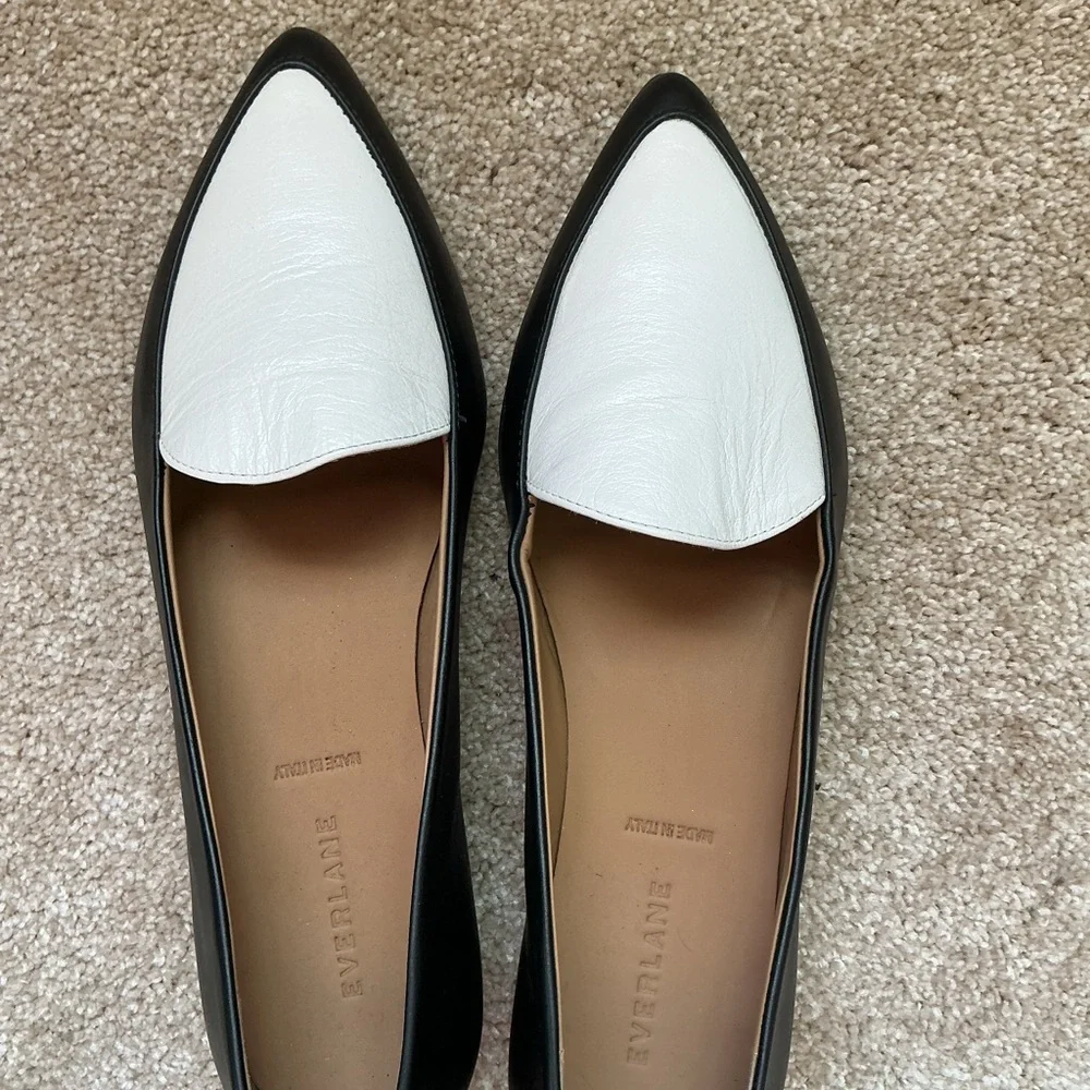 Everlane new sleek